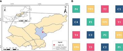 Warming promoted CH4 absorption compared with precipitation addition in typical steppe in Inner Mongolia